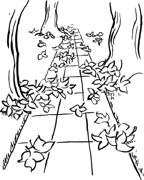 Иллюстрация к книге — Практика радости. Как ходить осознанно [i_015.jpg]