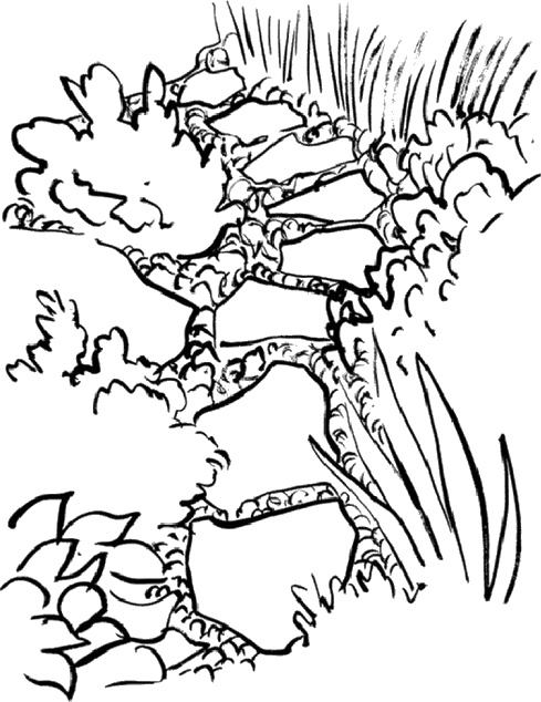 Иллюстрация к книге — Практика радости. Как ходить осознанно [i_019.jpg]