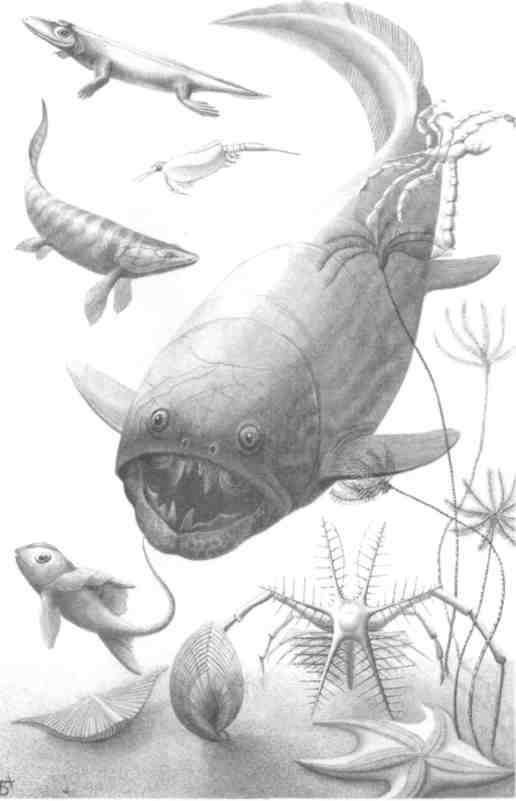 Иллюстрация к книге — Парнокопытные киты, четырехкрылые динозавры, бегающие черви... Новая палеонтология. Реальность, которая удивительнее фантазий [i_036.jpg]
