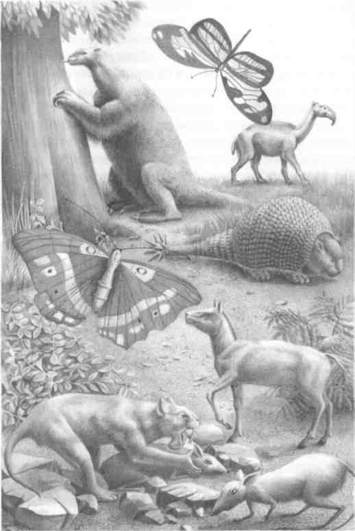 Иллюстрация к книге — Парнокопытные киты, четырехкрылые динозавры, бегающие черви... Новая палеонтология. Реальность, которая удивительнее фантазий [i_041.jpg]