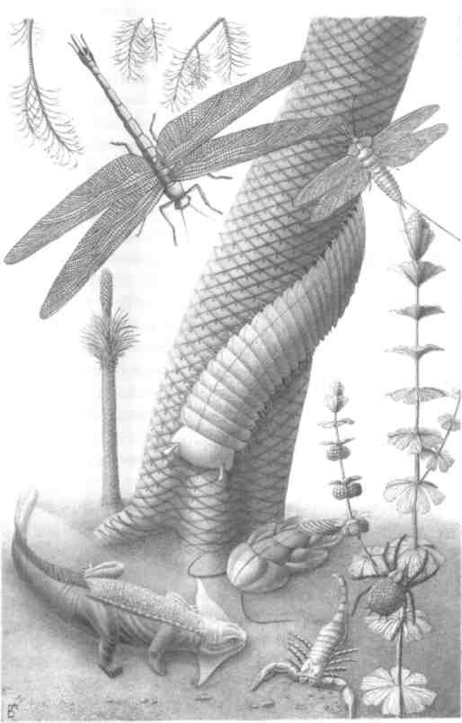 Иллюстрация к книге — Парнокопытные киты, четырехкрылые динозавры, бегающие черви... Новая палеонтология. Реальность, которая удивительнее фантазий [i_043.jpg]