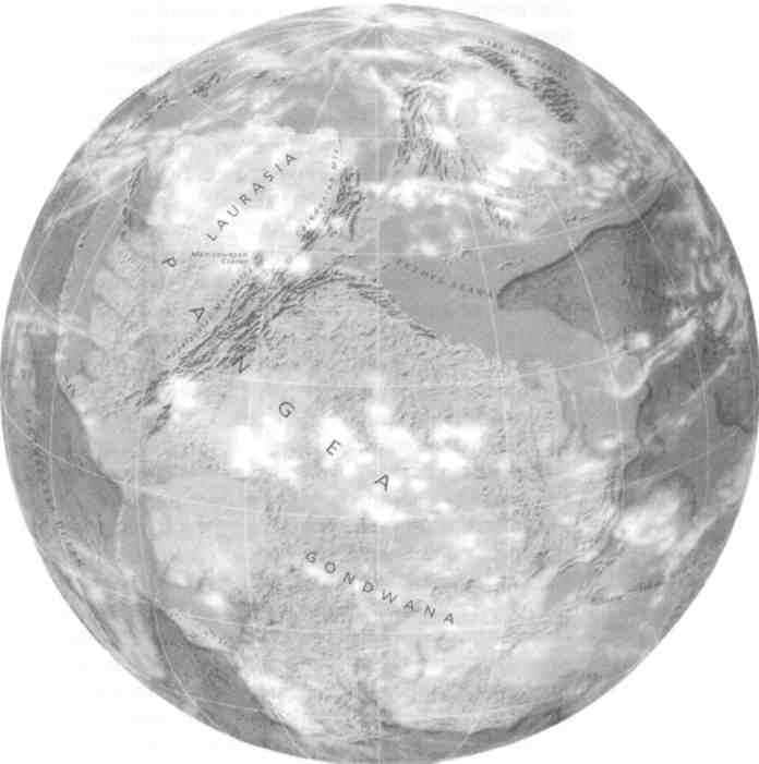 Иллюстрация к книге — Парнокопытные киты, четырехкрылые динозавры, бегающие черви... Новая палеонтология. Реальность, которая удивительнее фантазий [i_044.jpg]