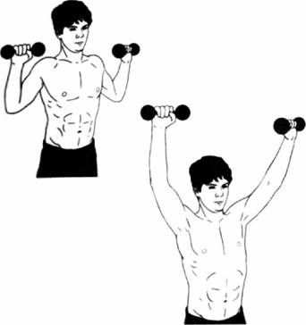 Иллюстрация к книге — Атлетизм без железа [any2fbimgloader20.jpg]