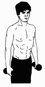 Иллюстрация к книге — Атлетизм без железа [any2fbimgloader21.jpg]