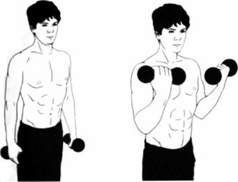 Иллюстрация к книге — Атлетизм без железа [any2fbimgloader25.jpg]