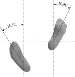 Иллюстрация к книге — Оздоровительно-боевая система &quot;Белый Медведь&quot; [_13.jpg]