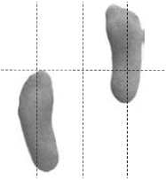 Иллюстрация к книге — Оздоровительно-боевая система &quot;Белый Медведь&quot; [_14.jpg]