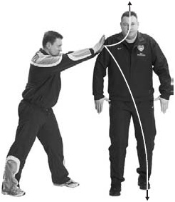 Иллюстрация к книге — Оздоровительно-боевая система &quot;Белый Медведь&quot; [_22.jpg]