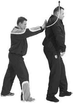 Иллюстрация к книге — Оздоровительно-боевая система &quot;Белый Медведь&quot; [_27.jpg]