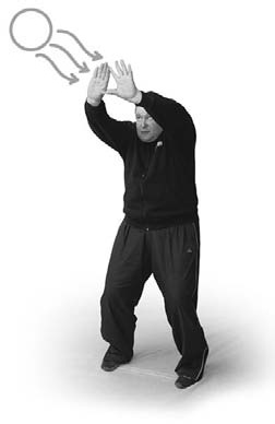 Иллюстрация к книге — Оздоровительно-боевая система &quot;Белый Медведь&quot; [_51.jpg]