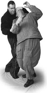 Иллюстрация к книге — Оздоровительно-боевая система &quot;Белый Медведь&quot; [_74.jpg]