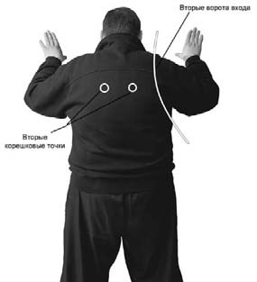 Иллюстрация к книге — Оздоровительно-боевая система &quot;Белый Медведь&quot; [_78.jpg]