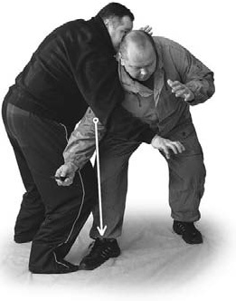 Иллюстрация к книге — Оздоровительно-боевая система &quot;Белый Медведь&quot; [_84.jpg]