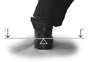 Иллюстрация к книге — Оздоровительно-боевая система &quot;Белый Медведь&quot; [_90.jpg]