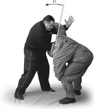 Иллюстрация к книге — Оздоровительно-боевая система &quot;Белый Медведь&quot; [_91.jpg]