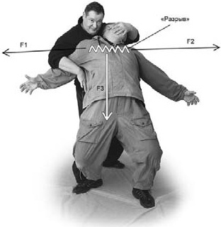 Иллюстрация к книге — Оздоровительно-боевая система &quot;Белый Медведь&quot; [_93.jpg]