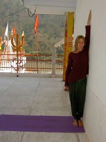 Иллюстрация к книге — Практика хатха-йоги. Ученик перед стеной [i_001.jpg]