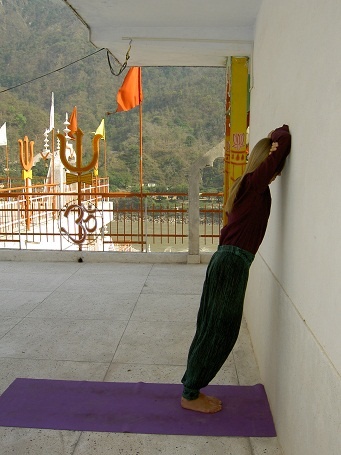 Иллюстрация к книге — Практика хатха-йоги. Ученик перед стеной [i_003.jpg]