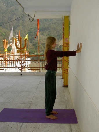 Иллюстрация к книге — Практика хатха-йоги. Ученик перед стеной [i_005.jpg]