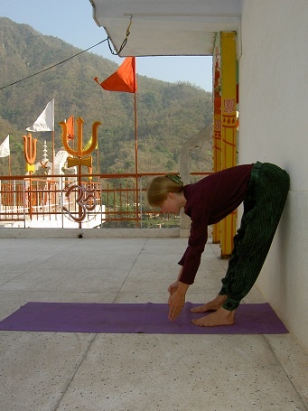 Иллюстрация к книге — Практика хатха-йоги. Ученик перед стеной [i_022.jpg]