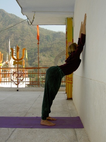 Иллюстрация к книге — Практика хатха-йоги. Ученик перед стеной [i_036.jpg]