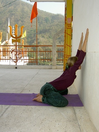 Иллюстрация к книге — Практика хатха-йоги. Ученик перед стеной [i_037.jpg]