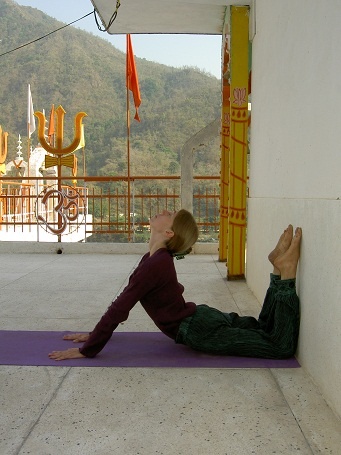 Иллюстрация к книге — Практика хатха-йоги. Ученик перед стеной [i_039.jpg]