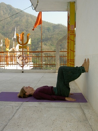 Иллюстрация к книге — Практика хатха-йоги. Ученик перед стеной [i_046.jpg]