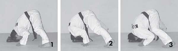 Иллюстрация к книге — Выживают сильнейшие. Физическая подготовка в практике боевых искусств и единоборств [i_005.jpg]