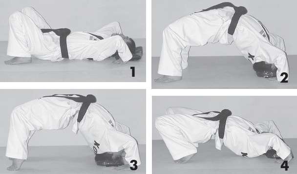 Иллюстрация к книге — Выживают сильнейшие. Физическая подготовка в практике боевых искусств и единоборств [i_007.jpg]