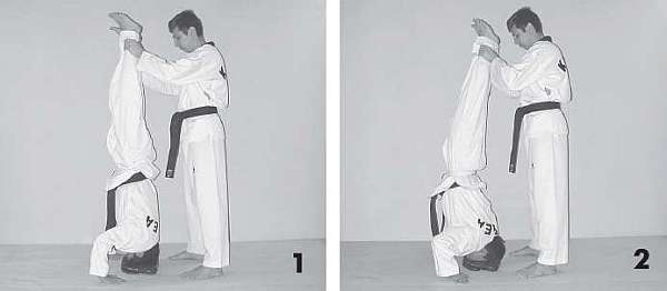 Иллюстрация к книге — Выживают сильнейшие. Физическая подготовка в практике боевых искусств и единоборств [i_010.jpg]