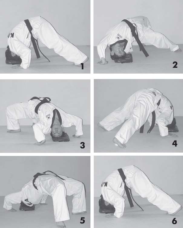 Иллюстрация к книге — Выживают сильнейшие. Физическая подготовка в практике боевых искусств и единоборств [i_013.jpg]