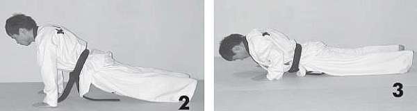 Иллюстрация к книге — Выживают сильнейшие. Физическая подготовка в практике боевых искусств и единоборств [i_017.jpg]