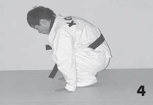 Иллюстрация к книге — Выживают сильнейшие. Физическая подготовка в практике боевых искусств и единоборств [i_018.jpg]