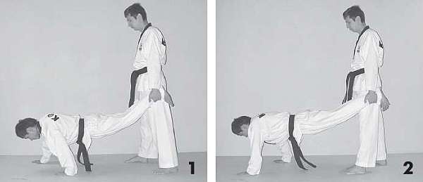 Иллюстрация к книге — Выживают сильнейшие. Физическая подготовка в практике боевых искусств и единоборств [i_020.jpg]