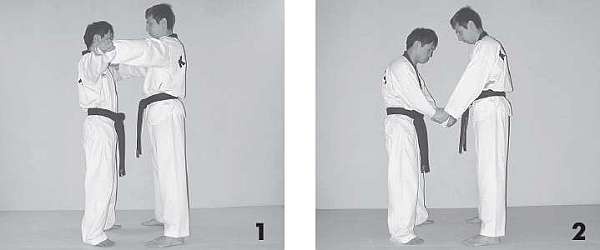 Иллюстрация к книге — Выживают сильнейшие. Физическая подготовка в практике боевых искусств и единоборств [i_025.jpg]