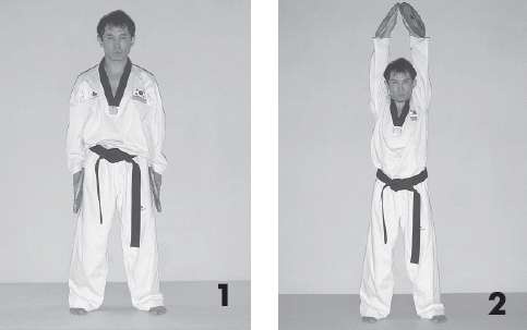 Иллюстрация к книге — Выживают сильнейшие. Физическая подготовка в практике боевых искусств и единоборств [i_033.jpg]