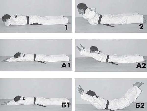 Иллюстрация к книге — Выживают сильнейшие. Физическая подготовка в практике боевых искусств и единоборств [i_040.jpg]