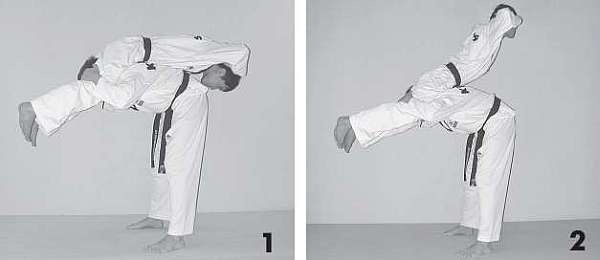 Иллюстрация к книге — Выживают сильнейшие. Физическая подготовка в практике боевых искусств и единоборств [i_042.jpg]