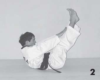 Иллюстрация к книге — Выживают сильнейшие. Физическая подготовка в практике боевых искусств и единоборств [i_049.jpg]