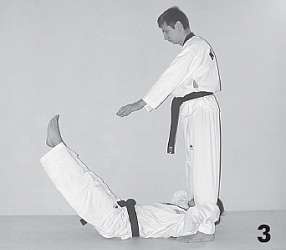 Иллюстрация к книге — Выживают сильнейшие. Физическая подготовка в практике боевых искусств и единоборств [i_054.jpg]