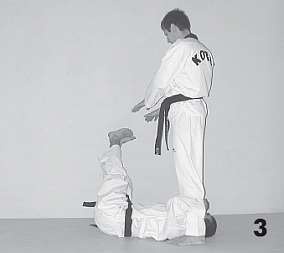 Иллюстрация к книге — Выживают сильнейшие. Физическая подготовка в практике боевых искусств и единоборств [i_056.jpg]