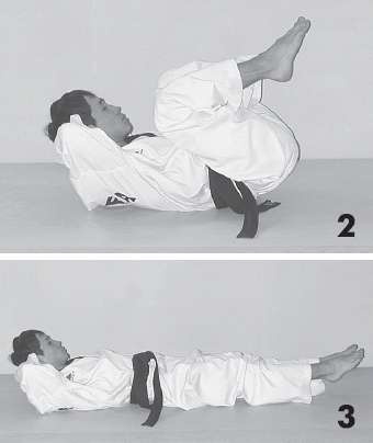 Иллюстрация к книге — Выживают сильнейшие. Физическая подготовка в практике боевых искусств и единоборств [i_058.jpg]