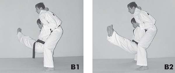 Иллюстрация к книге — Выживают сильнейшие. Физическая подготовка в практике боевых искусств и единоборств [i_062.jpg]