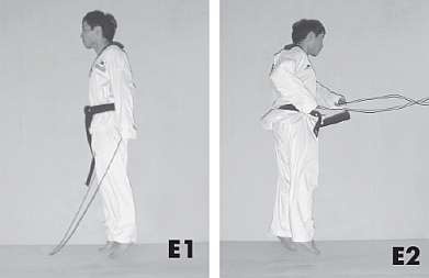 Иллюстрация к книге — Выживают сильнейшие. Физическая подготовка в практике боевых искусств и единоборств [i_066.jpg]