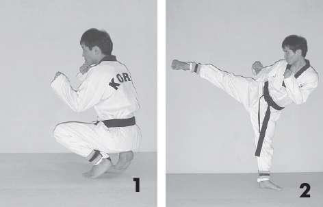 Иллюстрация к книге — Выживают сильнейшие. Физическая подготовка в практике боевых искусств и единоборств [i_067.jpg]