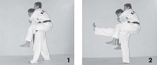 Иллюстрация к книге — Выживают сильнейшие. Физическая подготовка в практике боевых искусств и единоборств [i_076.jpg]