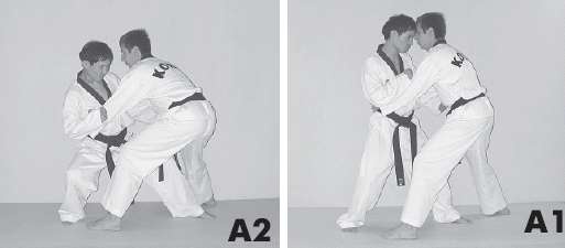 Иллюстрация к книге — Выживают сильнейшие. Физическая подготовка в практике боевых искусств и единоборств [i_082.jpg]