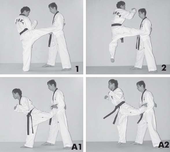 Иллюстрация к книге — Выживают сильнейшие. Физическая подготовка в практике боевых искусств и единоборств [i_083.jpg]