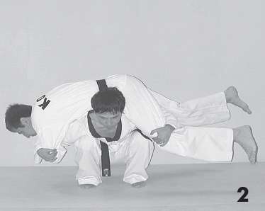 Иллюстрация к книге — Выживают сильнейшие. Физическая подготовка в практике боевых искусств и единоборств [i_086.jpg]